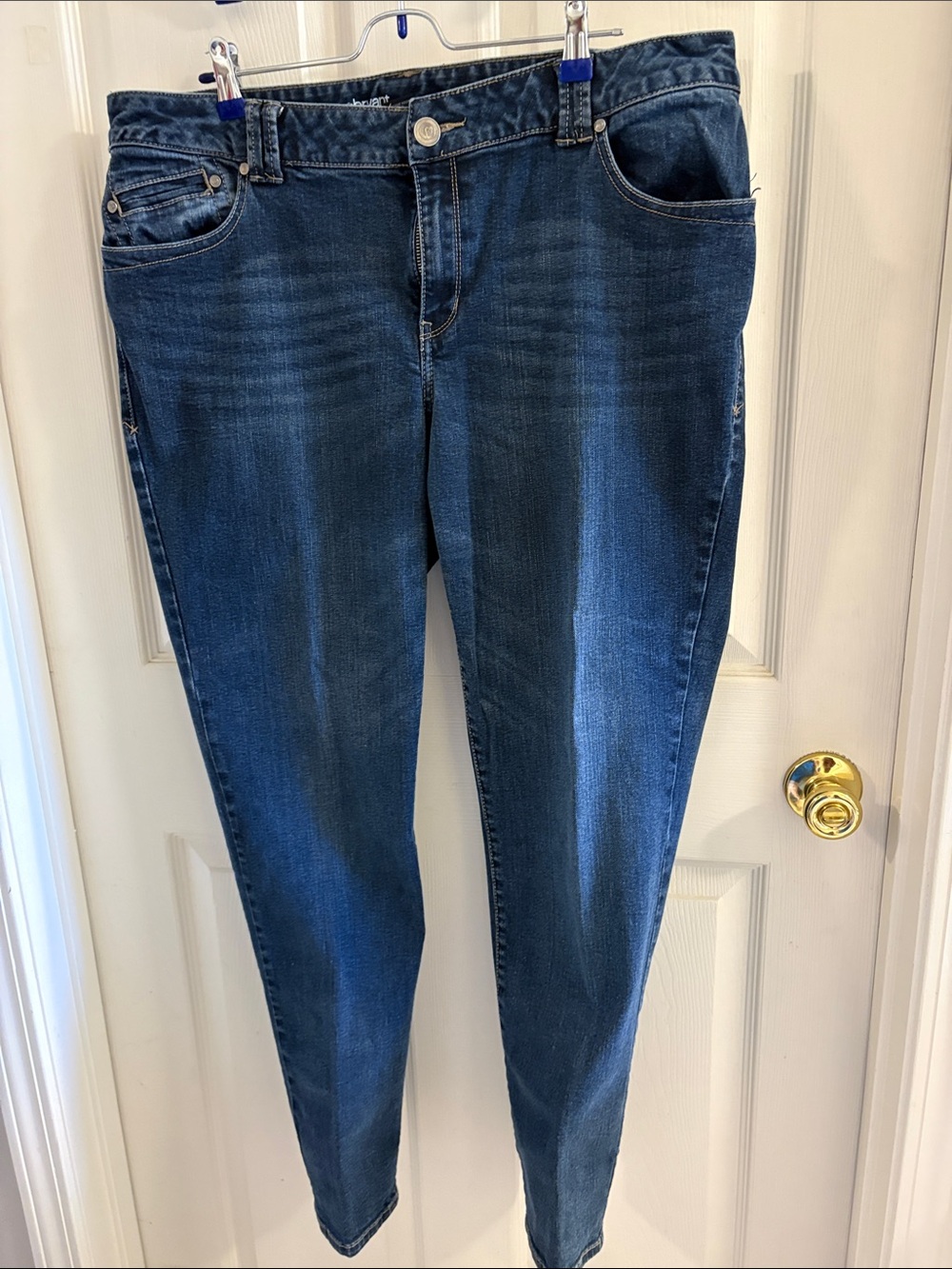 Lane Bryant Dark Blue Skinny Jeans